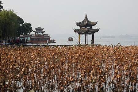 秋天浙江省杭州西湖图片