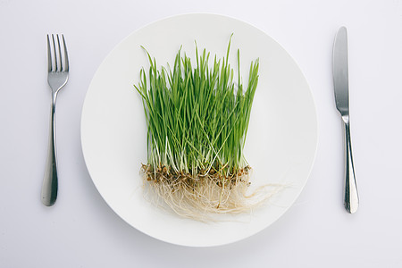 饮食文化水平构图简单健康饮食图片
