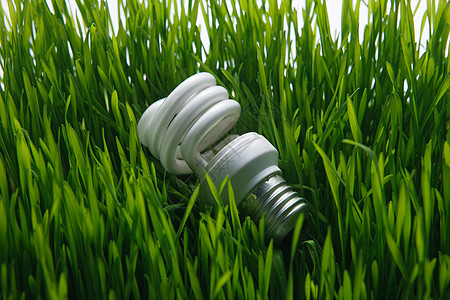 清新节能灯泡简单草地上的节能灯背景图片