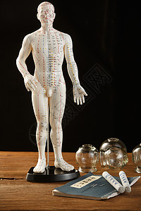 人体解剖学拔罐解剖模型医学用具图片