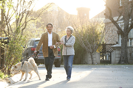 老年社区享乐白昼女人老年夫妇在户外遛狗背景