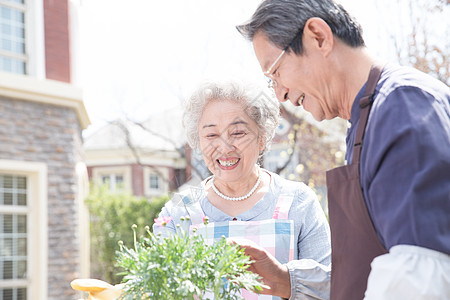 护着女人男人园艺70多岁温馨家园老年夫妇在院子里种花背景