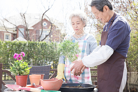 种花老夫妇协助亚洲户外老年夫妇在院子里种花背景