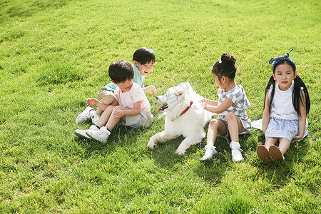 狗玩耍快乐的孩子在外面玩耍背景