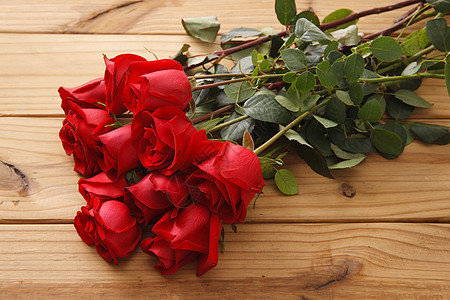 漂亮的生长红色玫瑰花图片