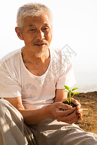 老农民手捧小苗背景图片