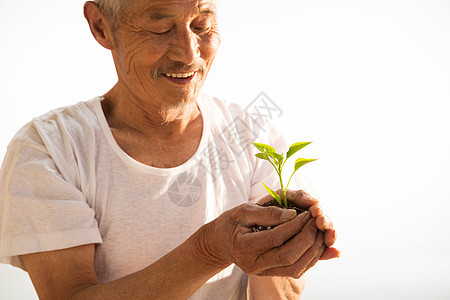 老农民手捧小苗背景图片