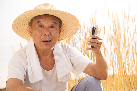 小麦丰收老农民拿着手机背景