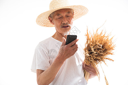 抱稻草农民伯伯老农民拿着手机背景