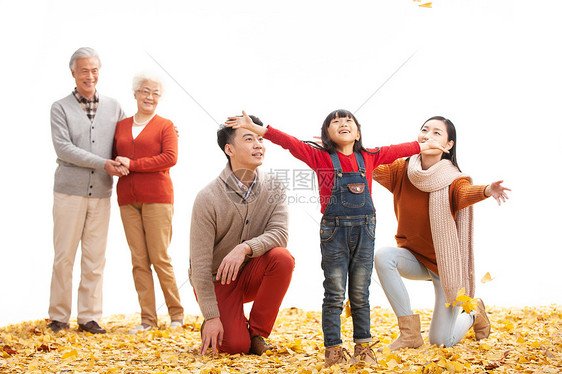 孙女温馨叶子幸福家庭户外郊游图片