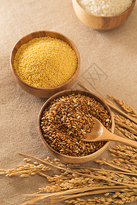 杂粮中的糙米高清图片