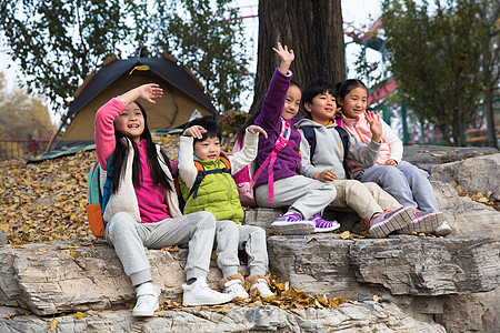 棒棒糖树摄影坐着秋游可爱的男孩女孩在户外玩耍背景