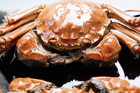 健康食物东方静物螃蟹图片