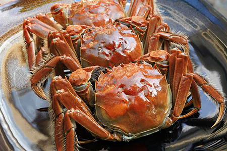 美味食物新鲜螃蟹图片