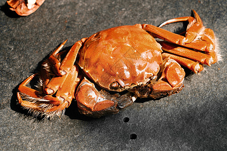 食物状态中华美食贝类螃蟹图片