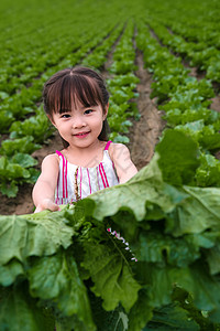 东方儿童在农庄采摘蔬菜背景