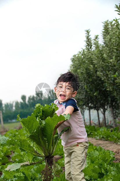 享乐快乐抬起东方儿童采摘蔬菜图片