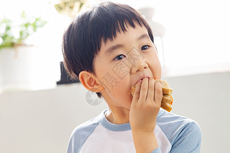 小学生吃饭儿童教育幼儿园小朋友吃三明治背景