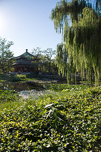 旅游目的地建筑外部元素北京圆明园图片