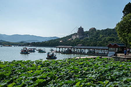 荷花船树林佛香阁荷花北京颐和园背景