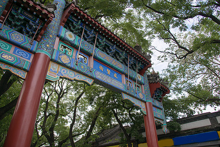 树林元素国内著名景点保护树北京雍和宫牌坊背景