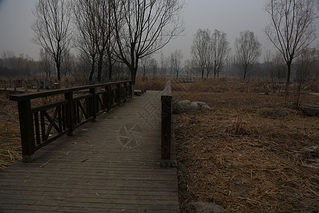 城市风光人文北京风情图片