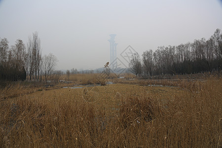 人文建筑城市风光北京风情背景图片