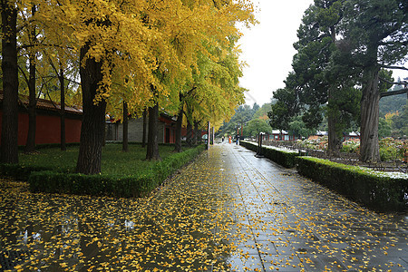 都市风光美景风景北京风光图片