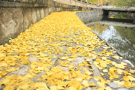 城市美景都市风光北京风光图片