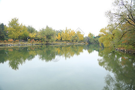 城市美景建筑北京风光背景图片