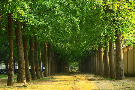 建筑城市风景北京风光图片