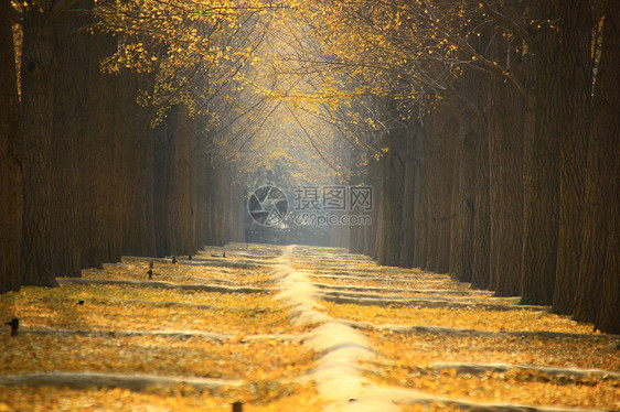 美景建筑城市北京风光图片