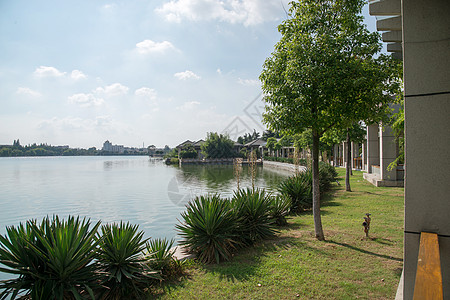 蔡元培故居江苏省的自然风景区背景