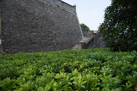 绿色都市江苏淮安的美丽景区背景