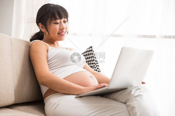 怀孕温馨起居室孕妇使用电脑图片