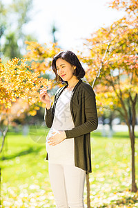 日光站着高兴的年轻的孕妇在户外图片