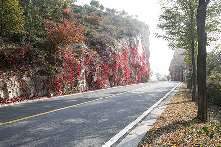 交通运输自然景观环境北京郊区的公路图片