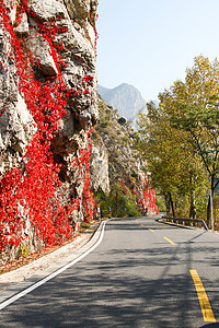 前进的道路盘山公路树北京郊区的公路图片
