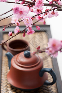 陶瓷茶壶艺术品植物学茶壶背景