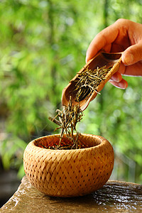 工具元素女人少量物体休闲茶叶背景