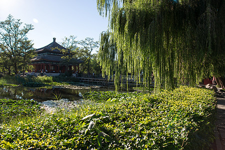 国际著名景点北京圆明园图片