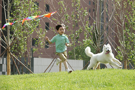 小朋友和狗健康生活方式童年白昼小男孩在草地上玩耍背景