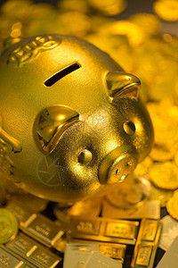亚洲金融彩色图片存钱罐和金币图片