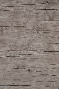 木制的纹理木地板图片