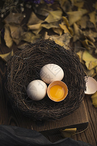 鸟窝中的土鸡蛋背景图片