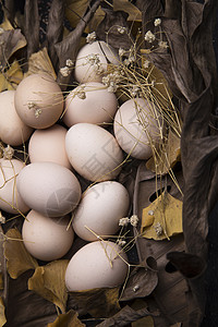蛋白质食物土鸡蛋图片