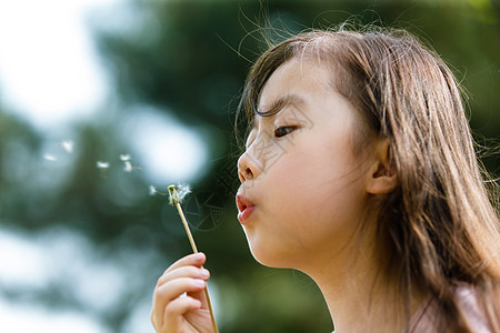 小孩吹蒲公英可爱的女孩吹蒲公英背景