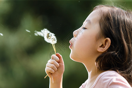 小孩吹蒲公英放松仅女孩自然可爱的女孩在户外背景