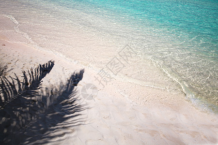 非都市风光海滩度假胜地马尔代夫海景背景图片