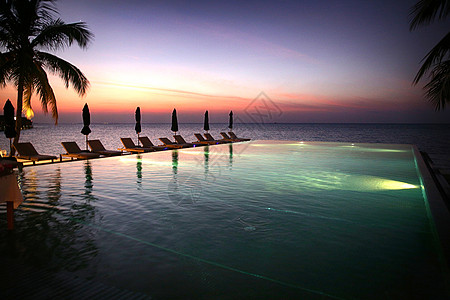 椰子树海滩国际著名景点马尔代夫海景风光背景